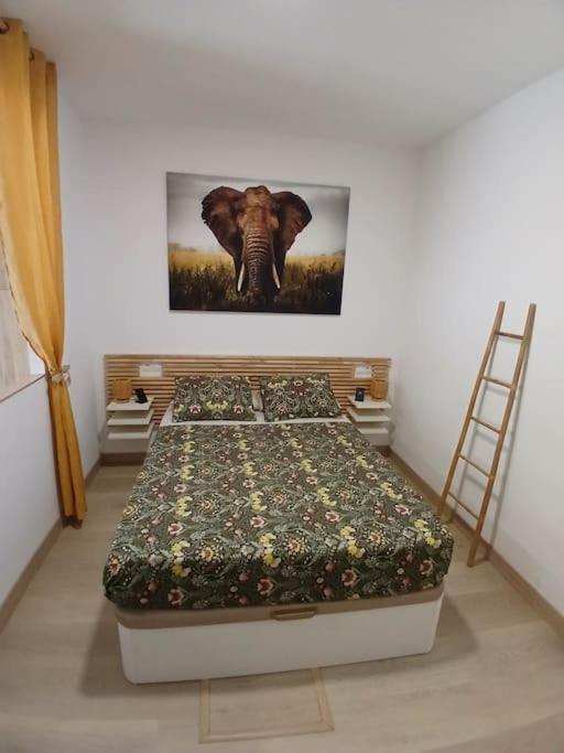 Apartment Elephant House A 10 Minutos Del Centro Málaga